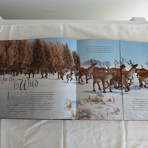 Santa's Reindeer Hardcover Christmas Book by Rod Green 2007 - Picture 7 of 16
